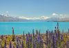Nouvelle-Zélande-pukaki