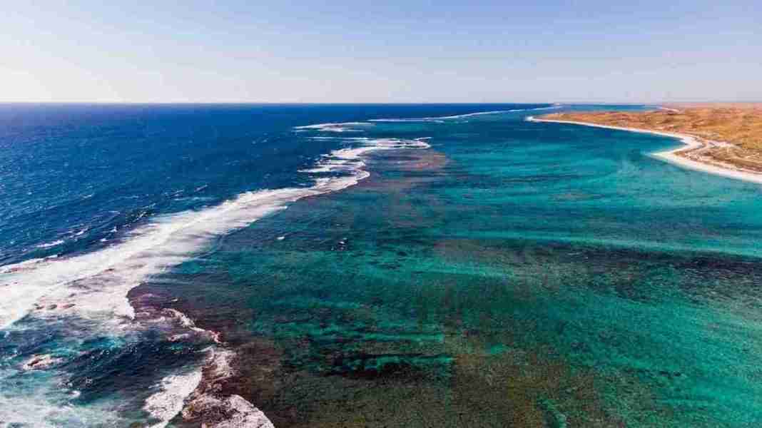 récif de Ningaloo