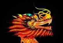 Dragon Boat Festival : des festivités jusqu’au 23 juin 2024