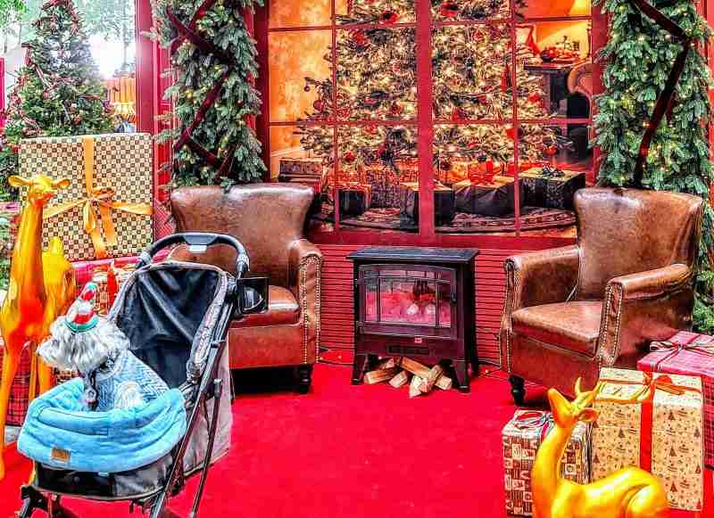 20241128_112651~4 copie